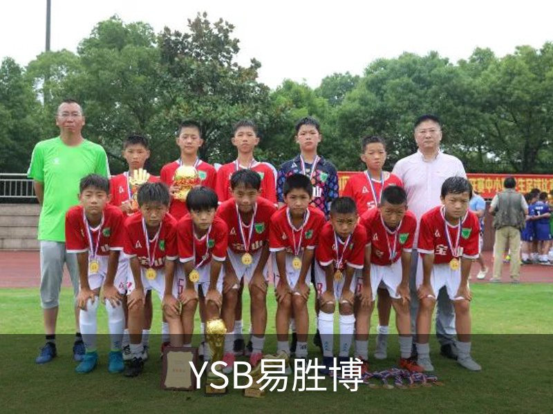 了解YSB易胜博